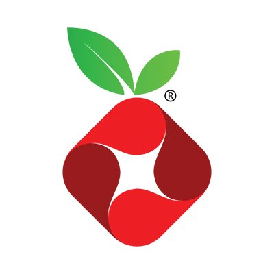 Pi-Hole logo